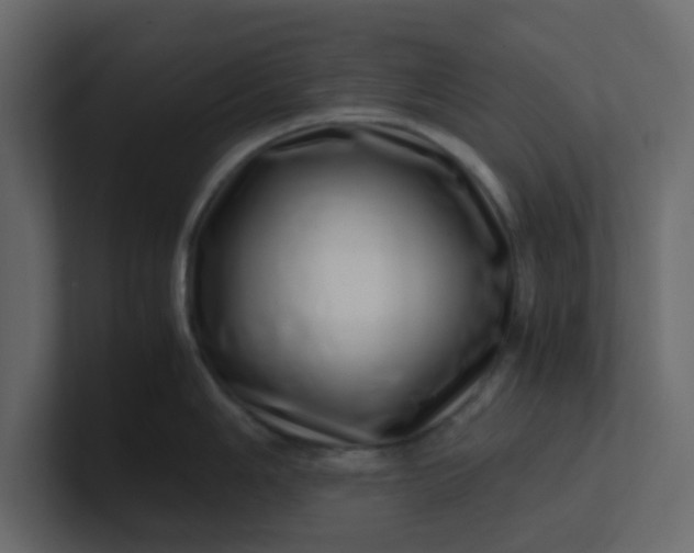 X0000101101006200807101443