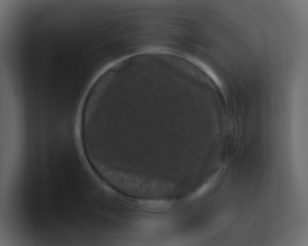 X0000101101007200807101443