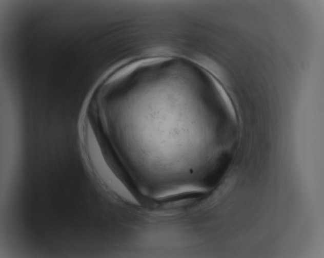 X0000101101008200807101443