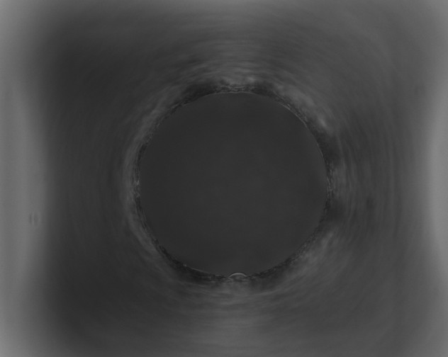 X0000101101009200807101442