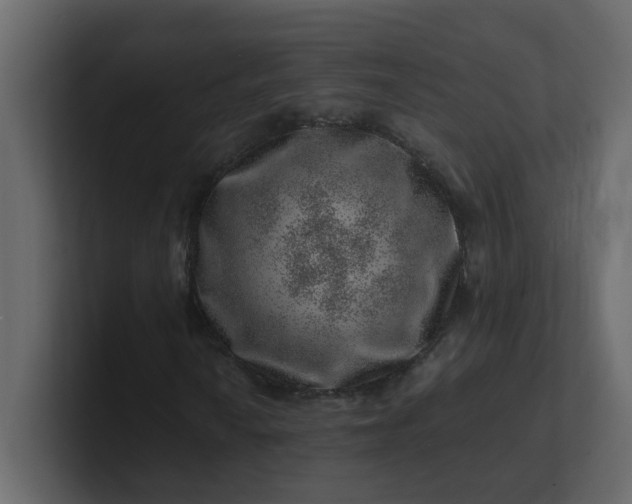 X0000101101010200807101442