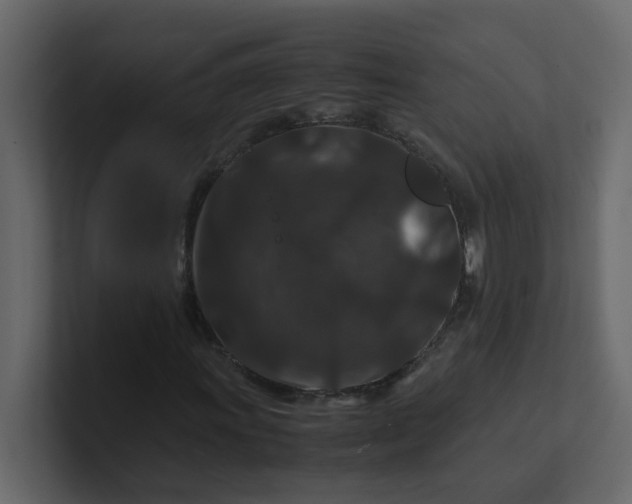 X0000101101011200807101443