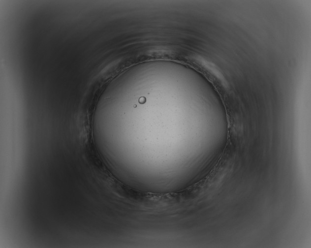 X0000101101015200807101443