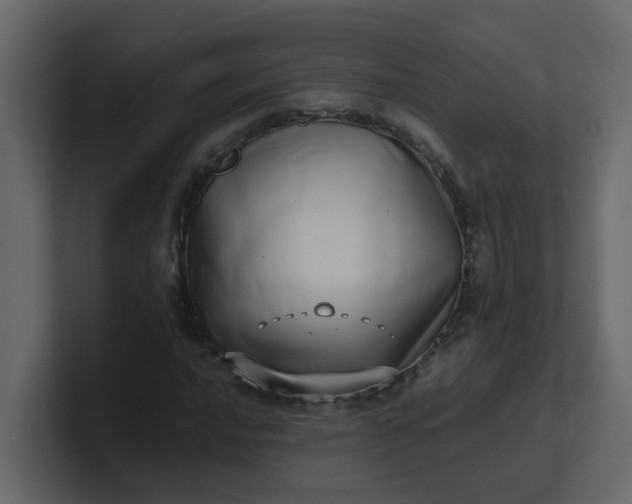 X0000101101016200807101443