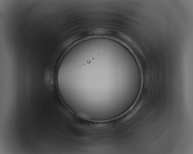 X0000101101017200807101443