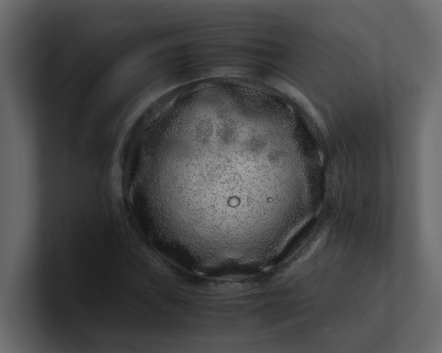 X0000101101019200807101443
