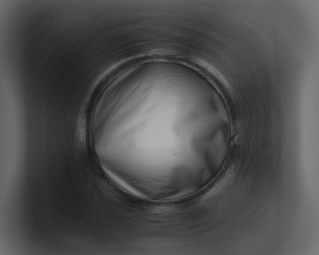 X0000101101021200807101443