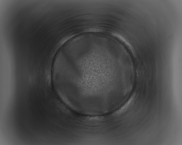 X0000101101025200807101443