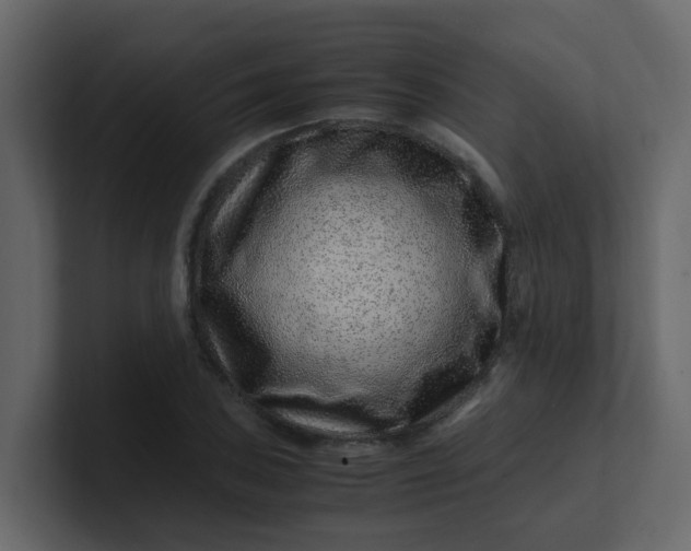 X0000101101027200807101443