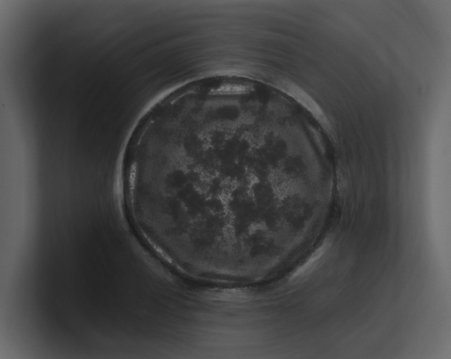 X0000101101028200807101443