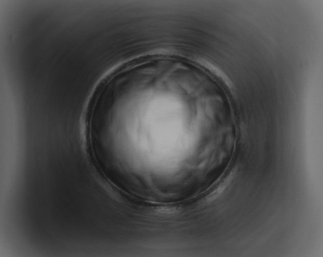 X0000101101029200807101443