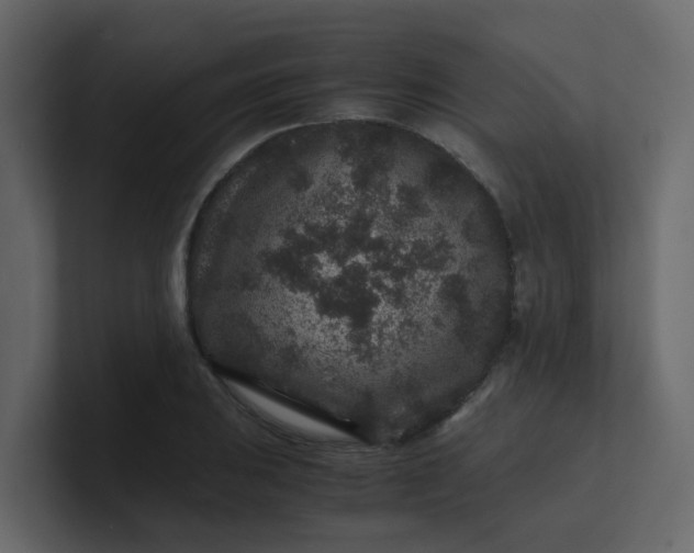 X0000101101031200807101443