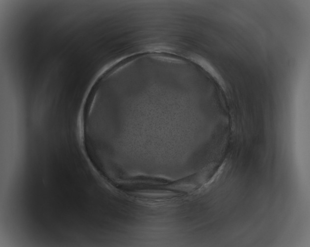 X0000101101032200807101443