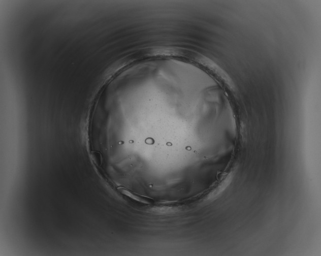 X0000101101033200807101443