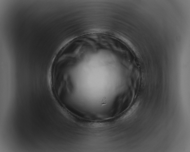 X0000101101034200807101443