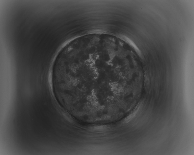 X0000101101035200807101443