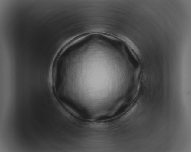 X0000101101036200807101443