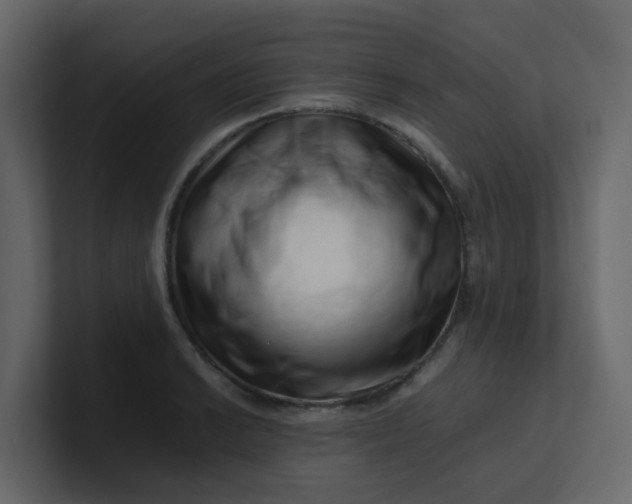 X0000101101038200807101443