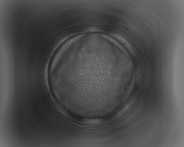 X0000101101039200807101443