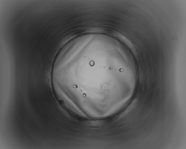 X0000101101041200807101443