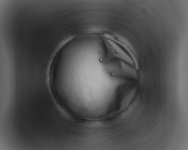 X0000101101042200807101443