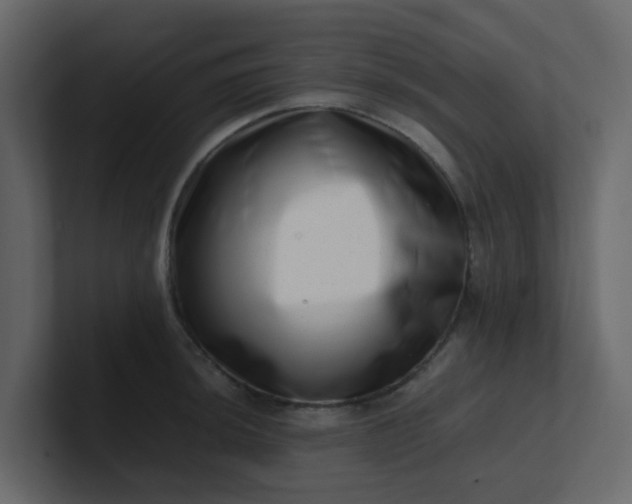 X0000101101044200807101443