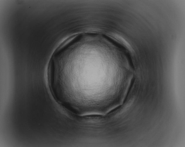 X0000101101047200807101443