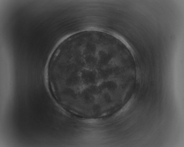 X0000101101048200807101443