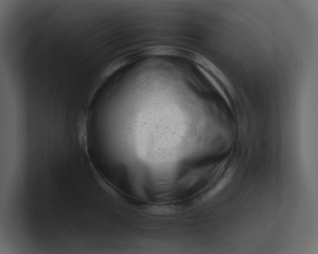 X0000101101049200807101443