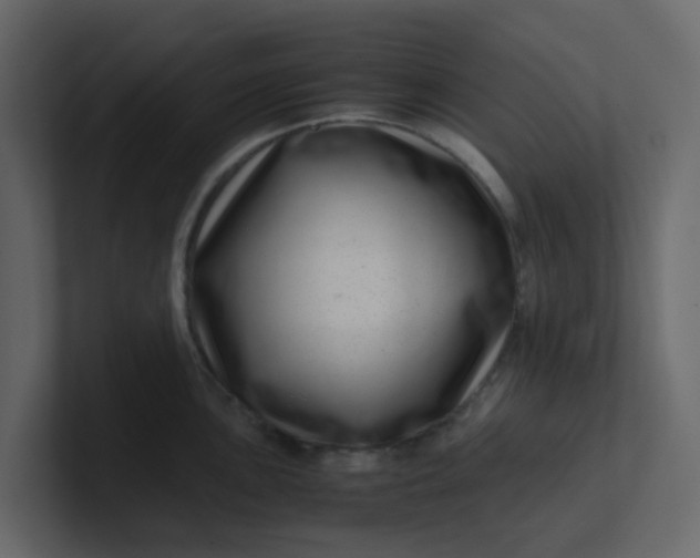 X0000101101051200807101443