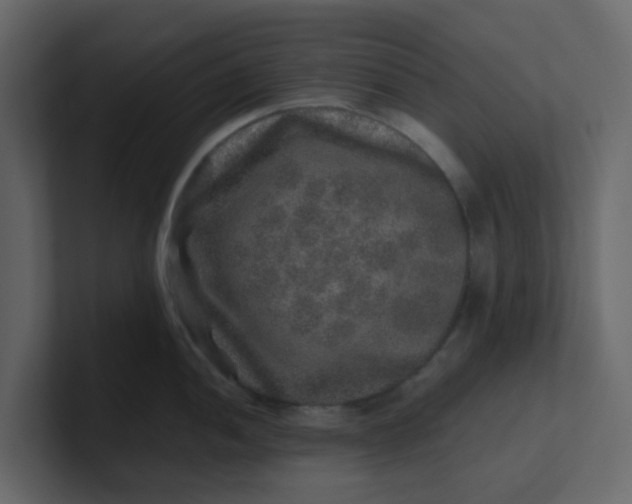 X0000101101052200807101443