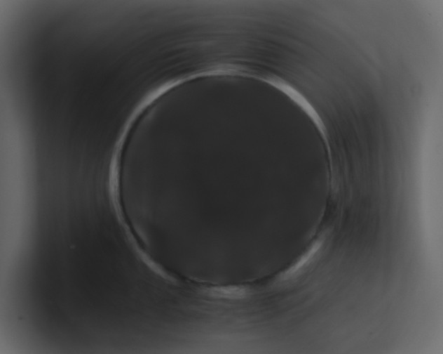 X0000101101053200807101443
