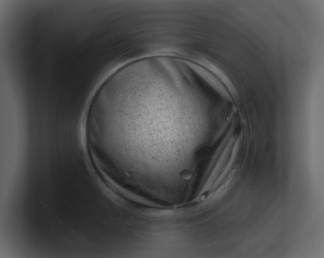 X0000101101054200807101443