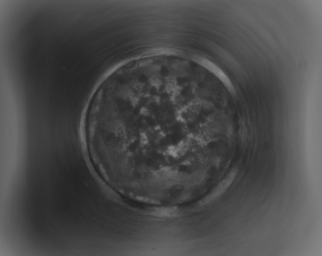 X0000101101055200807101443