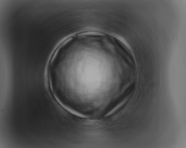 X0000101101056200807101443