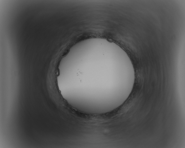 X0000101101057200807101442