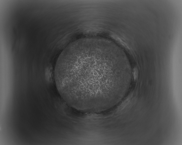 X0000101101059200807101442