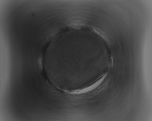 X0000101101060200807101442