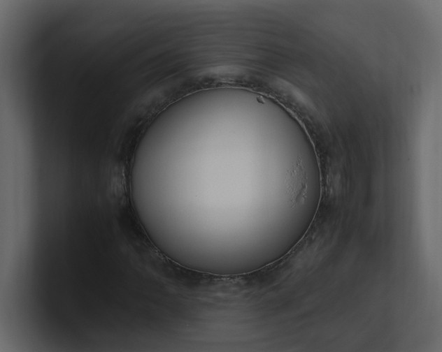 X0000101101062200807101442