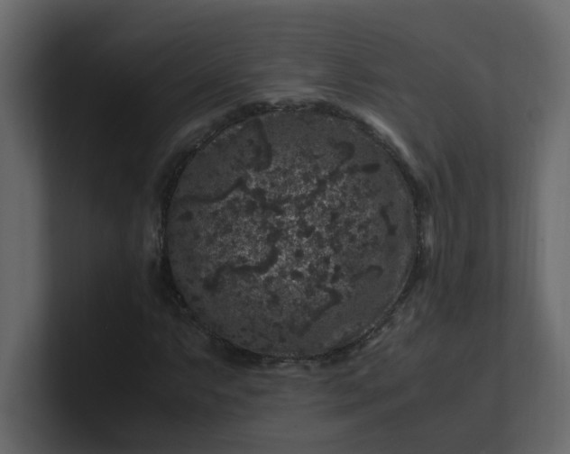 X0000101101063200807101442