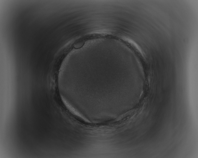 X0000101101064200807101442