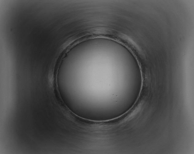 X0000101101065200807101442