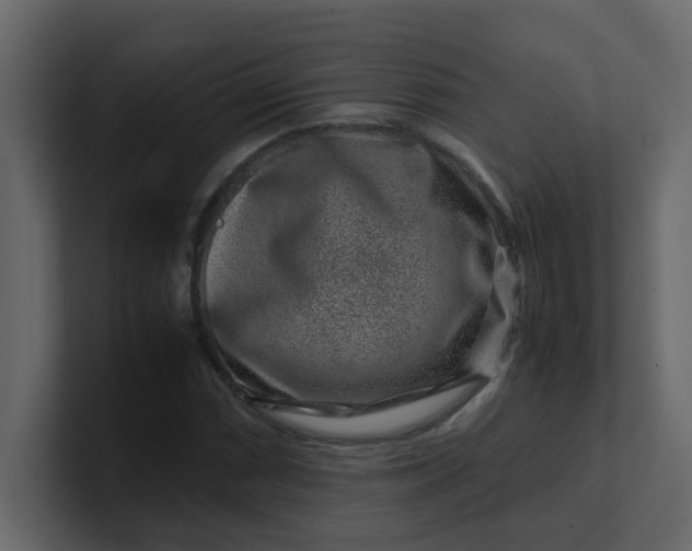 X0000101101066200807101442