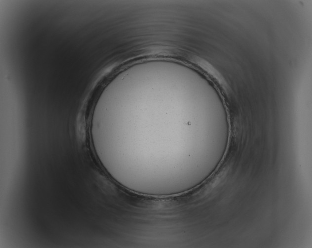 X0000101101067200807101442