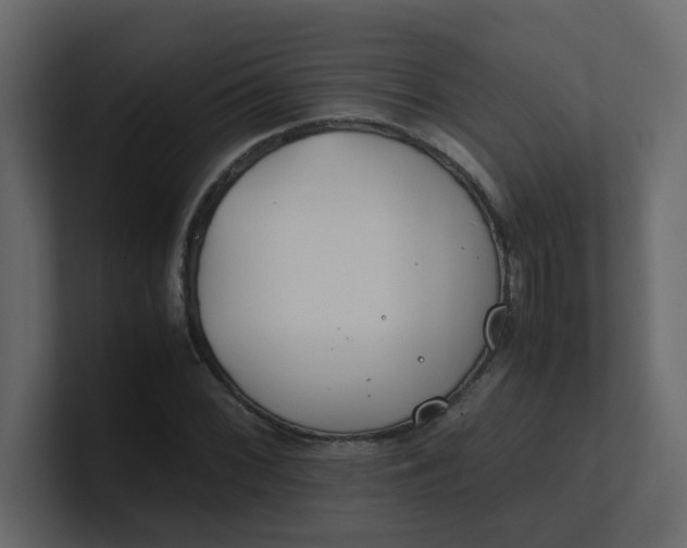 X0000101101068200807101442