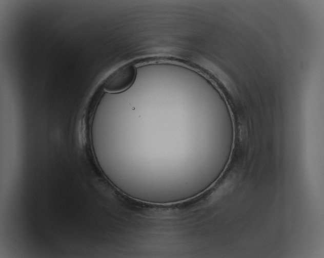 X0000101101069200807101442