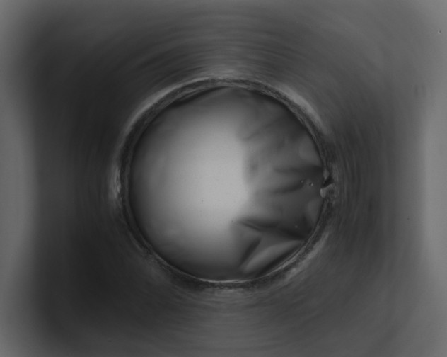 X0000101101070200807101442