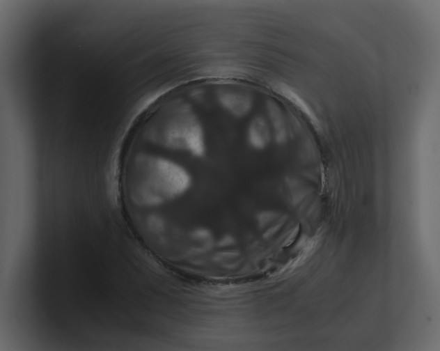 X0000101101071200807101442