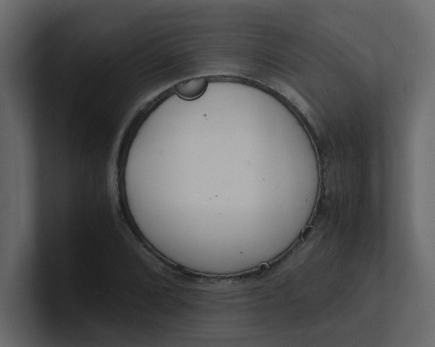 X0000101101072200807101442