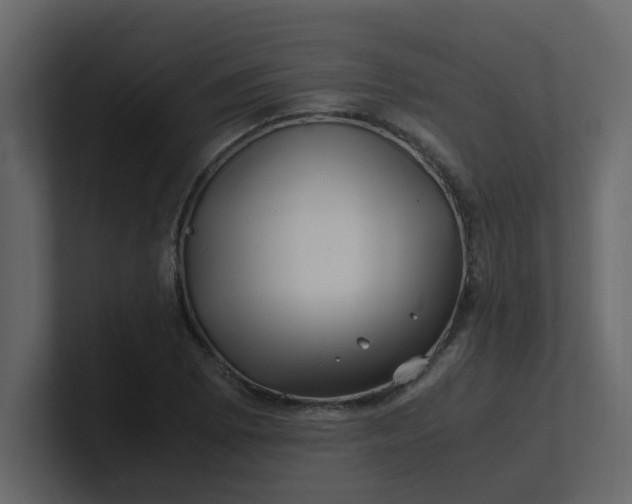 X0000101101073200807101442